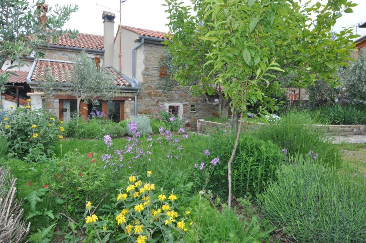Istrian Stone House Villa Sečovlje Dış mekan fotoğraf