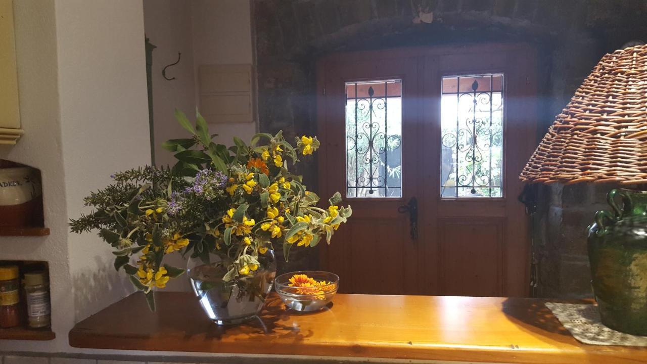 Istrian Stone House Villa Sečovlje Dış mekan fotoğraf