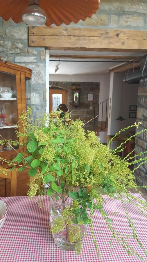 Istrian Stone House Villa Sečovlje Dış mekan fotoğraf