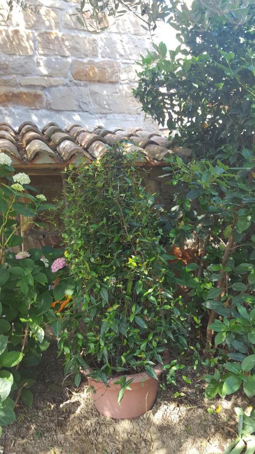 Istrian Stone House Villa Sečovlje Dış mekan fotoğraf