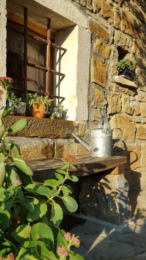 Istrian Stone House Villa Sečovlje Dış mekan fotoğraf