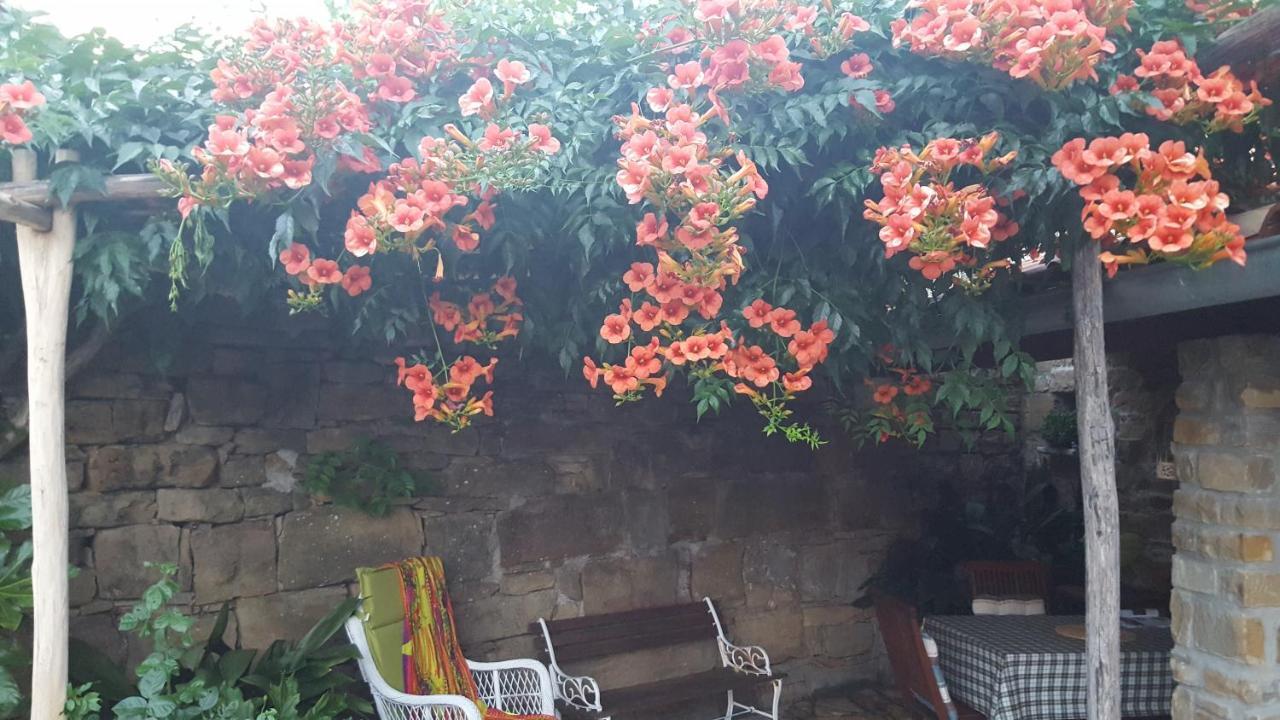Istrian Stone House Villa Sečovlje Dış mekan fotoğraf