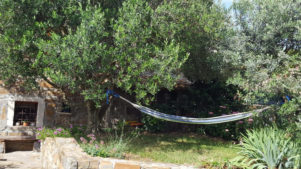 Istrian Stone House Villa Sečovlje Dış mekan fotoğraf