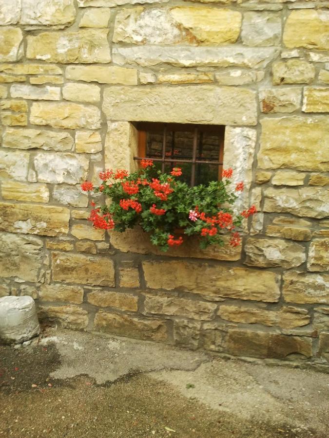 Istrian Stone House Villa Sečovlje Dış mekan fotoğraf
