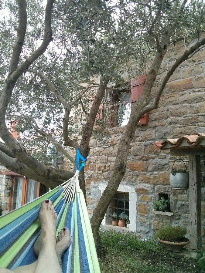 Istrian Stone House Villa Sečovlje Dış mekan fotoğraf