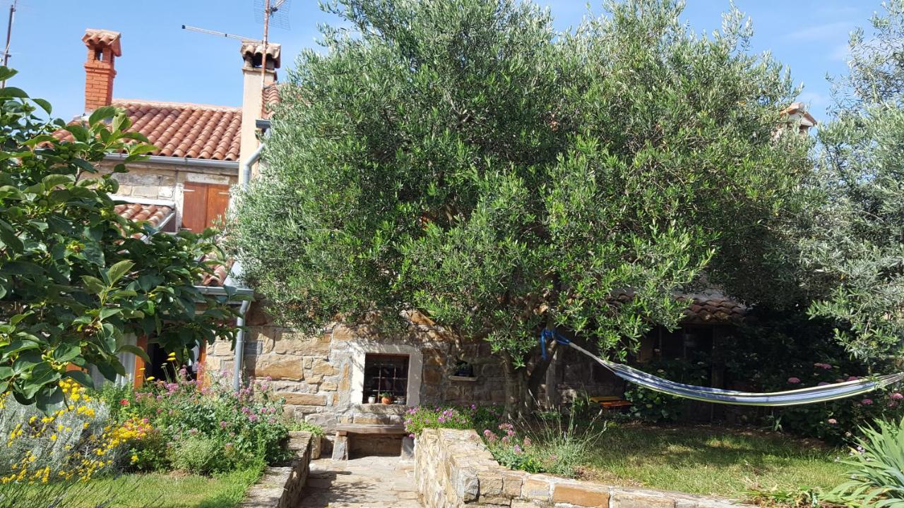 Istrian Stone House Villa Sečovlje Dış mekan fotoğraf
