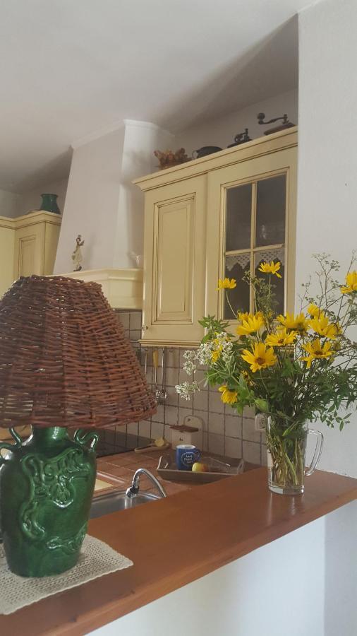 Istrian Stone House Villa Sečovlje Dış mekan fotoğraf